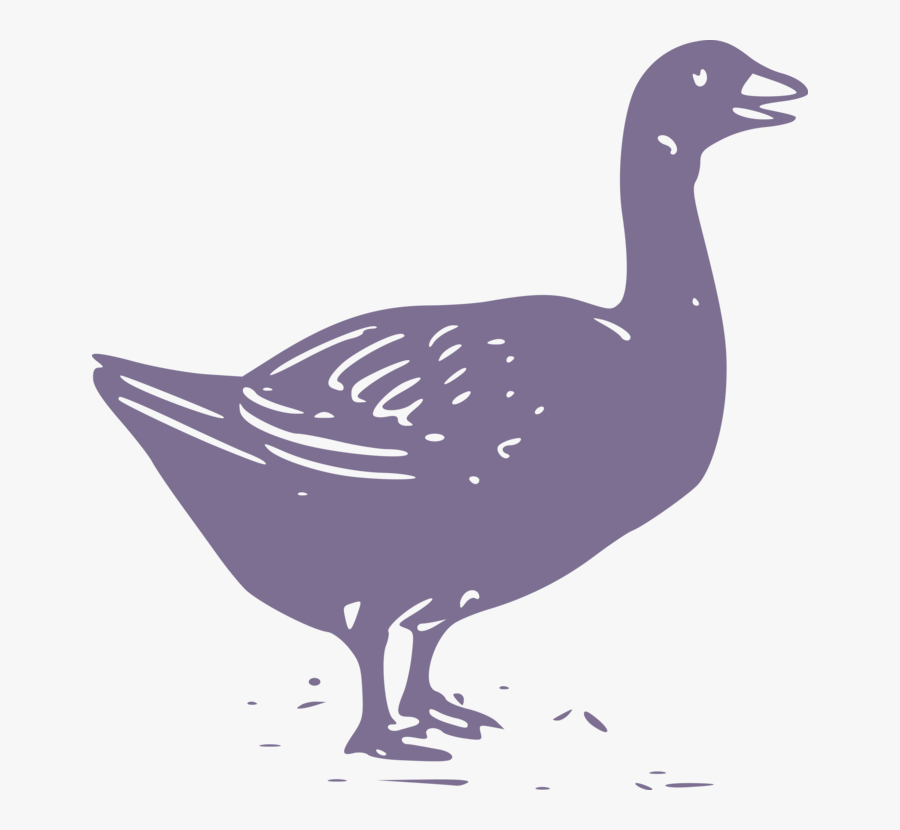 Ganso Fazenda Png, Transparent Clipart