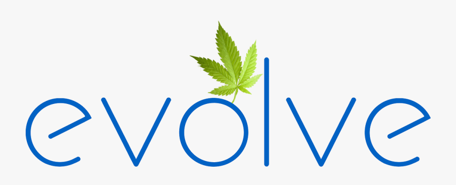 Evolve Shows, Transparent Clipart