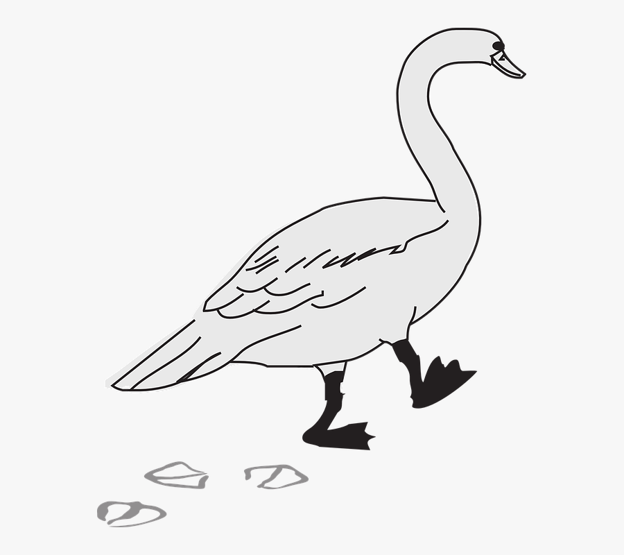 Bird, Footprints, Wings, Walking, Goose, Tracks - Walking Goose Clipart, Transparent Clipart