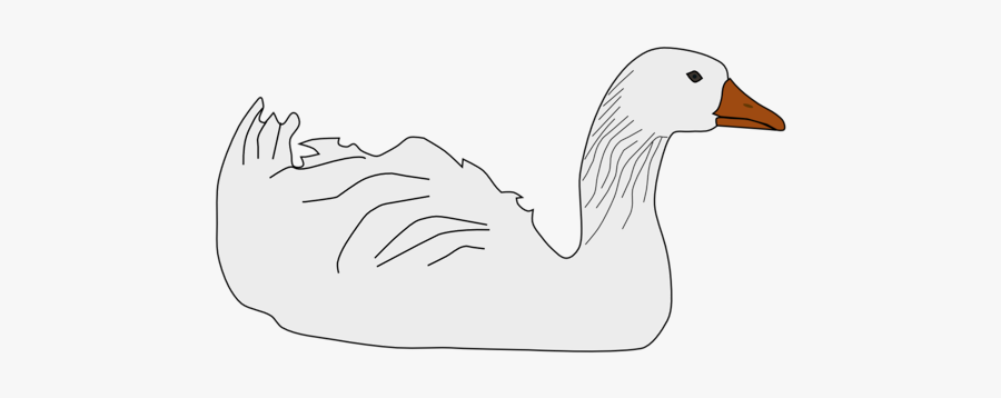 Duck, Transparent Clipart