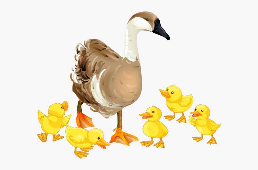 Transparent Canadian Goose Clipart - Mother And Baby Goose Clipart, Transparent Clipart