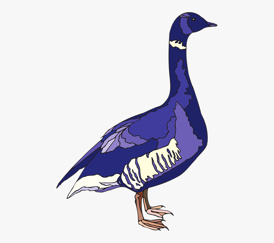 Blue, Purple, Bird, Wings, Goose, Feathers - Purple Goose, Transparent Clipart