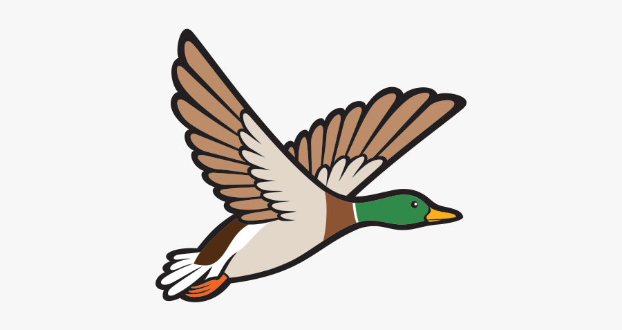 Goose Clipart Bird Fly - Bird Fly Clipart, Transparent Clipart