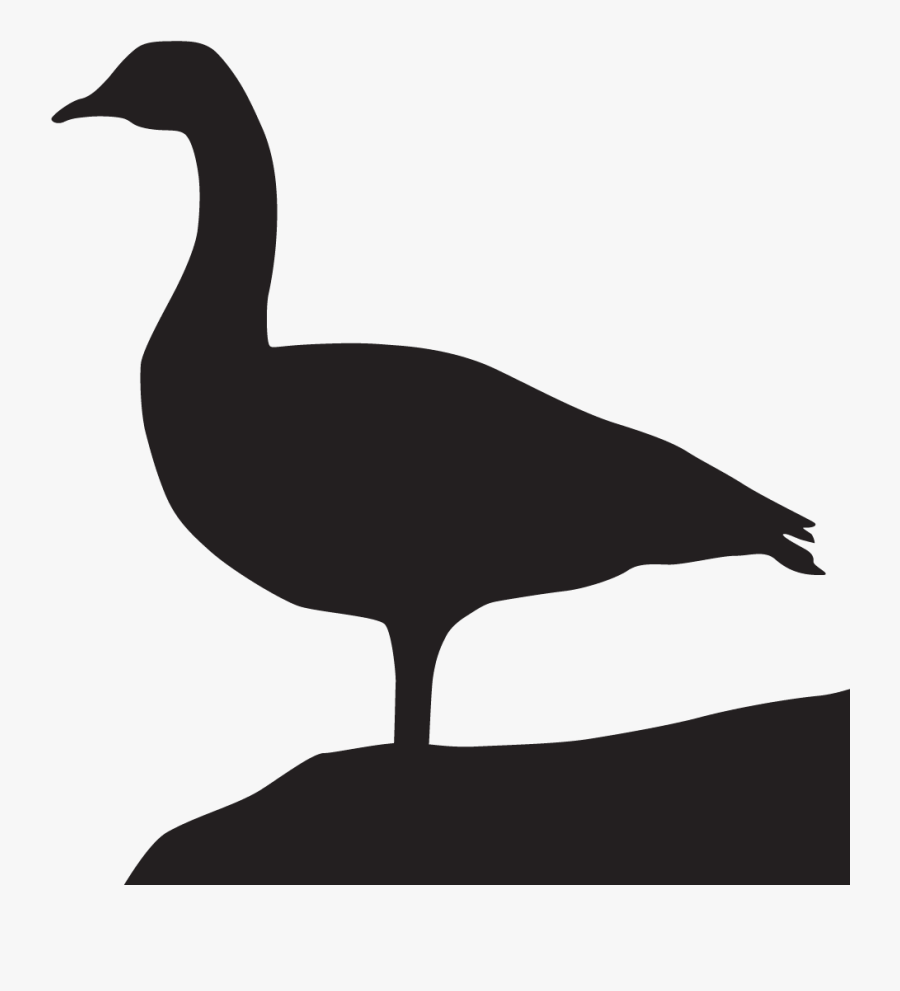 Canada Silhouette At Getdrawings Com Free For - Canada Goose Silhouette Transparent, Transparent Clipart