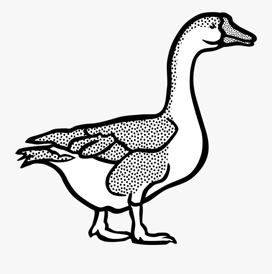 Livestock,fowl,goose - Goose Black And White, Transparent Clipart