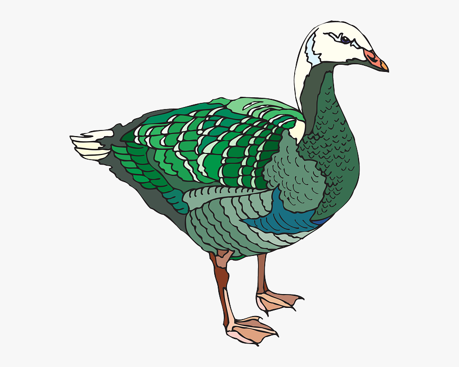 Goose, Transparent Clipart