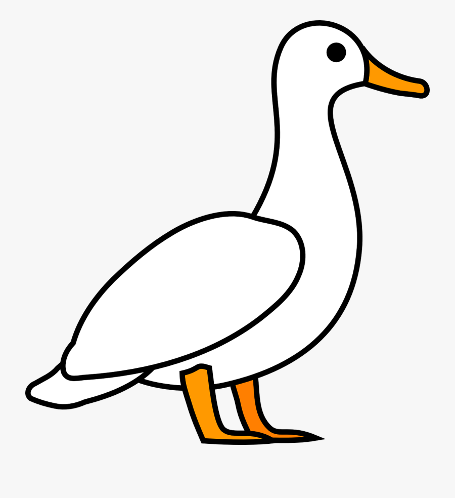 Duck Goose Animal Free Picture - Duck Clipart Png, Transparent Clipart