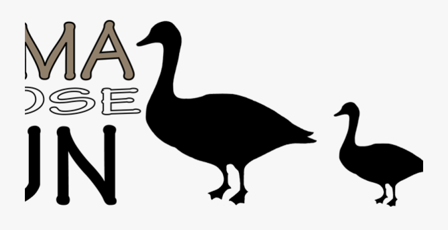 Turkey, Transparent Clipart