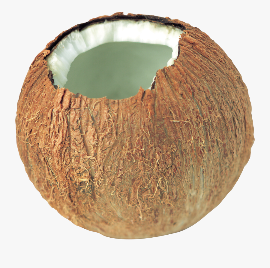 Coconut, Transparent Clipart
