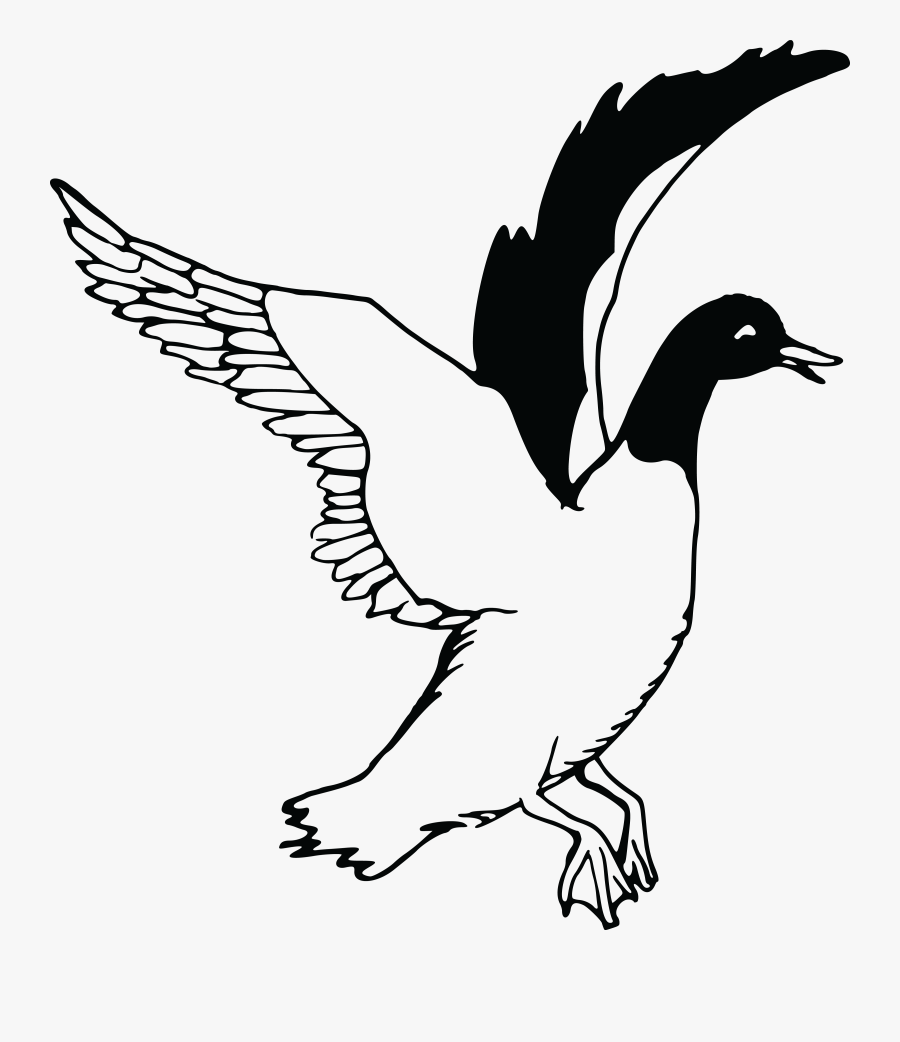 Flying Drawing At Getdrawings - Flying Duck Clipart Black And White, Transparent Clipart