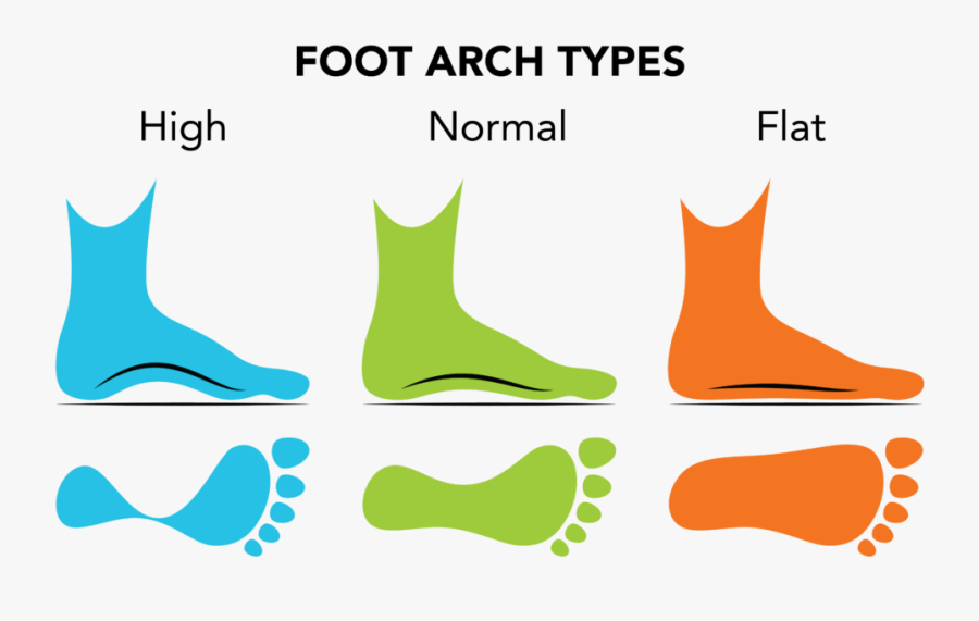 Dr Joanna Chura Foot Arch Guide - Overpronere, Transparent Clipart
