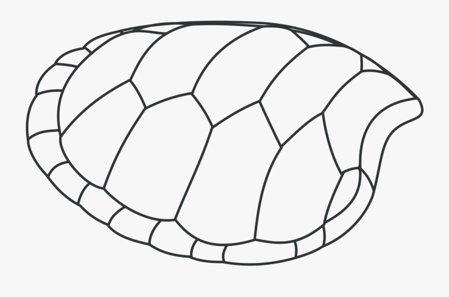 Line Art,head,ball - Turtle Clip Art, Transparent Clipart