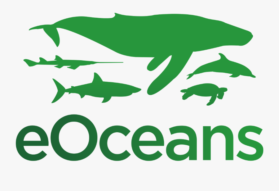 Living Oceans Foundation Logo, Transparent Clipart