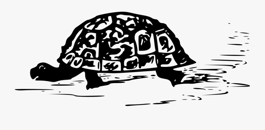 Turtle Drawing Svg Clip Arts - Black Turtle Svg, Transparent Clipart