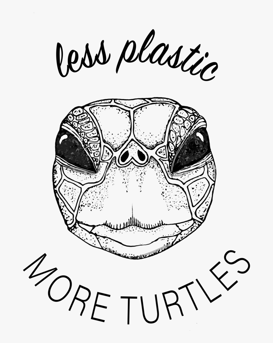 Sketch, Transparent Clipart