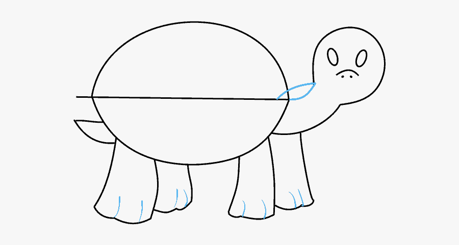 How To Draw Turtle - Cartoon, Transparent Clipart