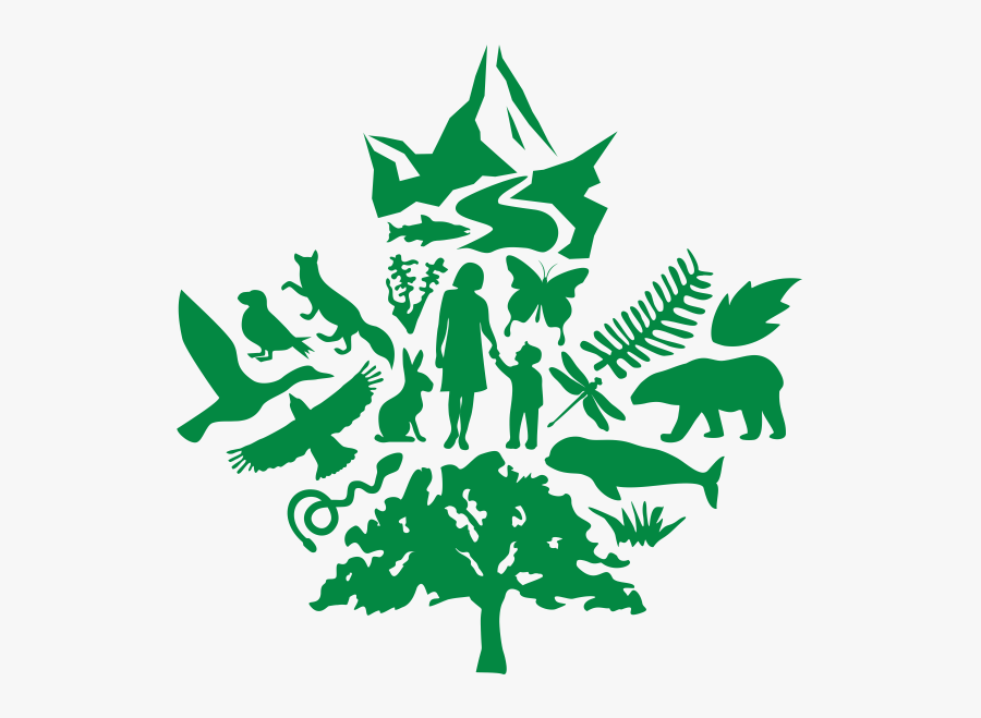 Home - Biodiversity Clipart, Transparent Clipart