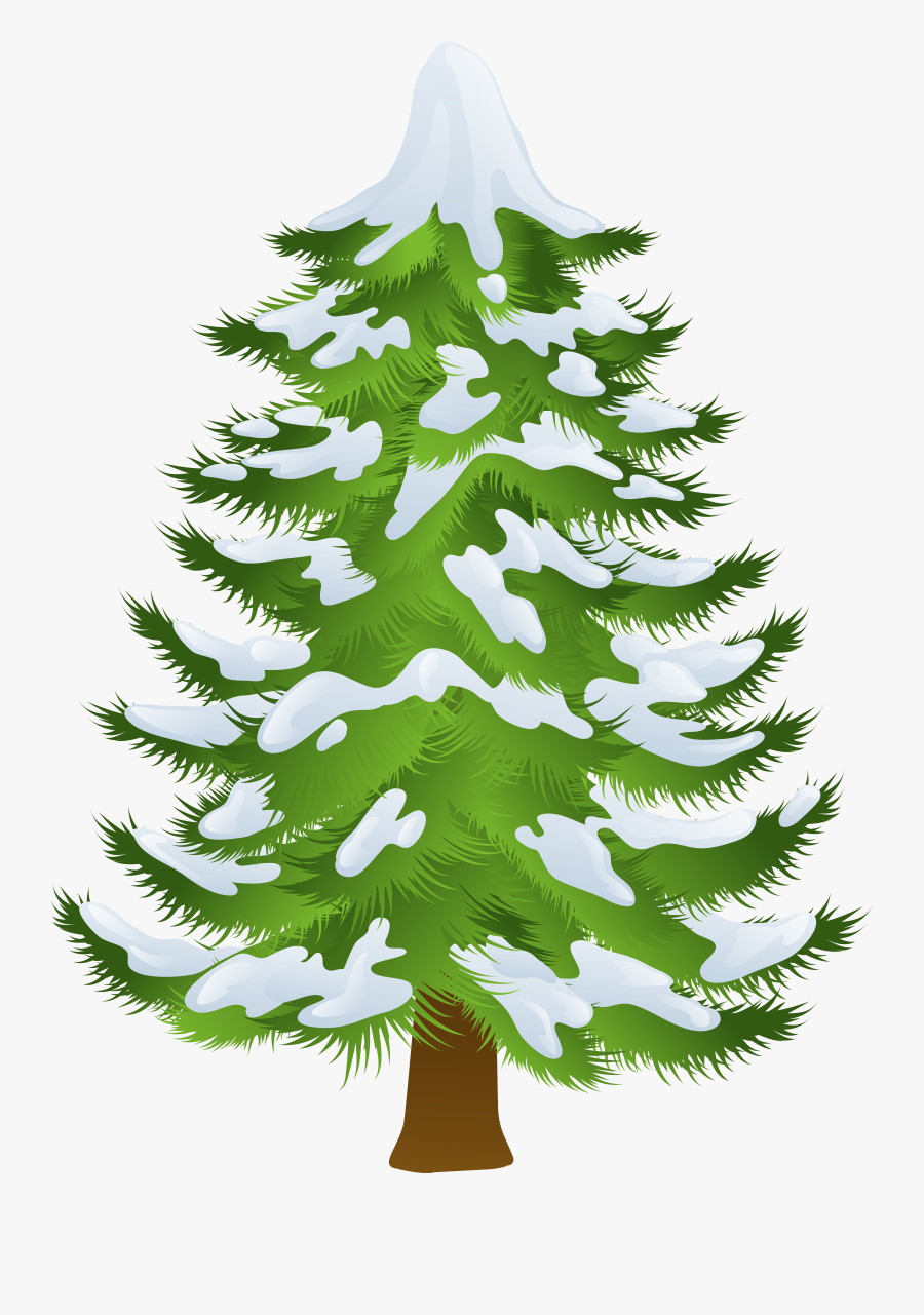 Pine Tree Winter Clip Art - Pine Tree Transparent Clipart, Transparent Clipart