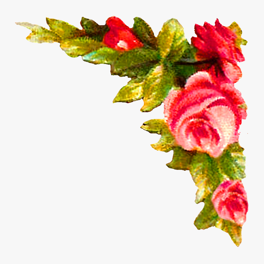 Rose Corner Design Illustration - Corner Flower Design Png, Transparent Clipart