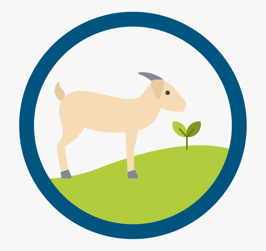 Tapestry Expeditionary Learning Icon, Transparent Clipart