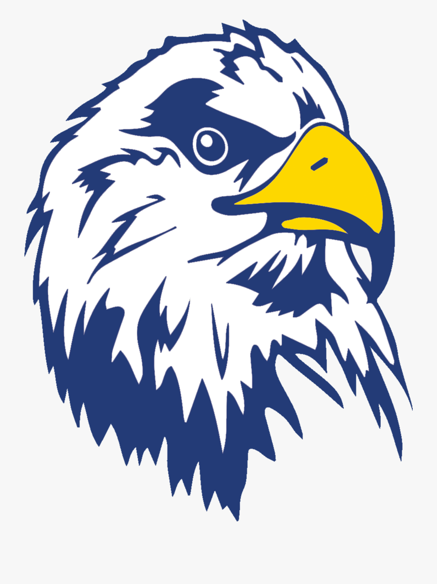 Bald Eagle, Transparent Clipart