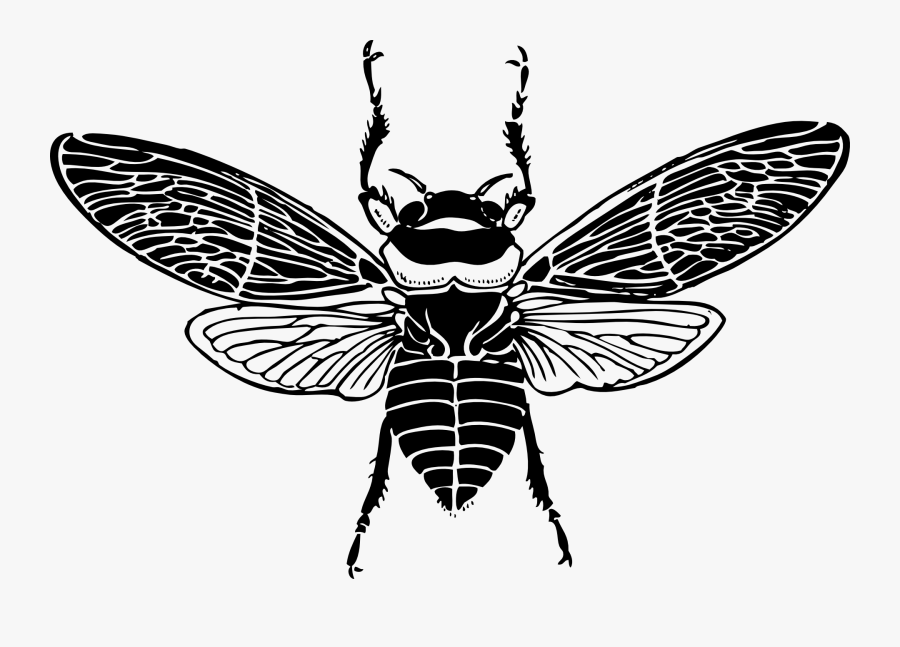 Bee Wings Clip Art, Transparent Clipart