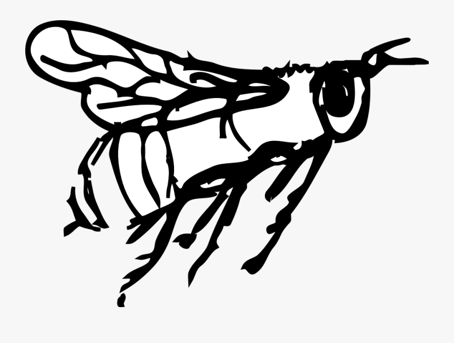 Bee Drawing Png, Transparent Clipart