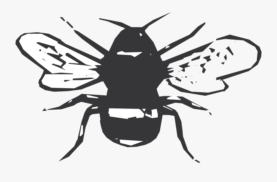 Birthday, Transparent Clipart