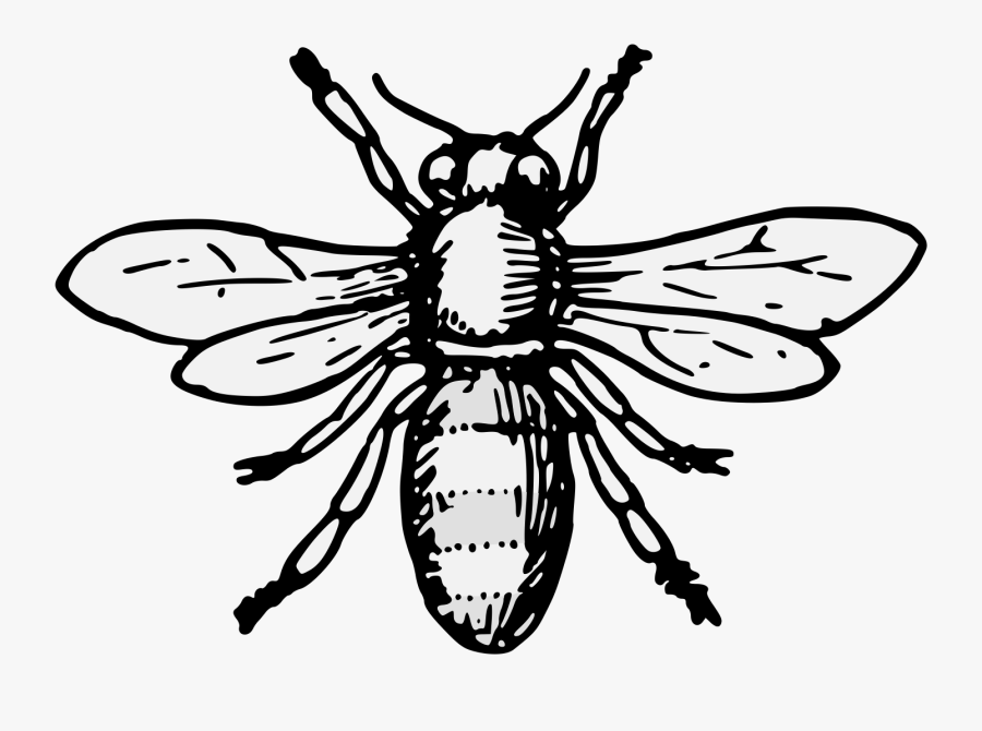 Heraldic Bee, Transparent Clipart