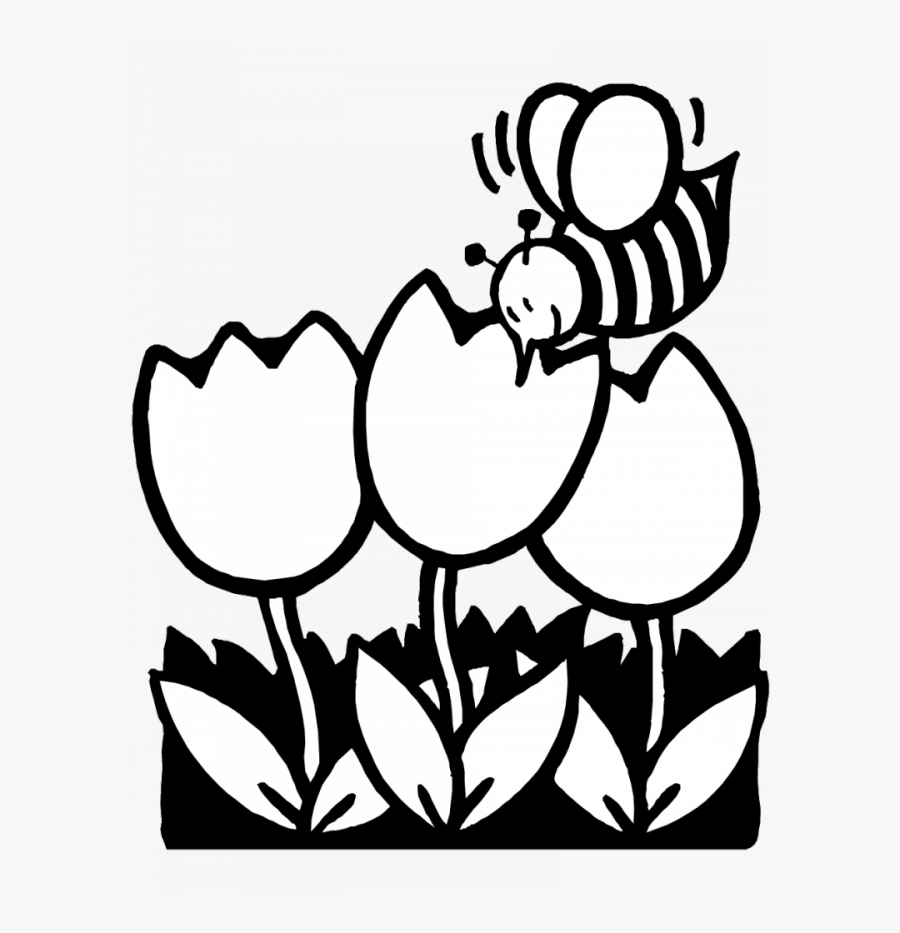 Bees And Tulips Coloring Pages For Kids Easy Coloring - Spring Flowers Clip Art Black And White, Transparent Clipart