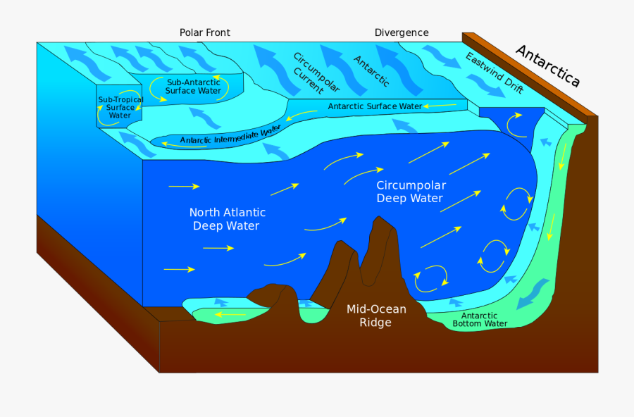 Antarctic Bottom Water, Transparent Clipart