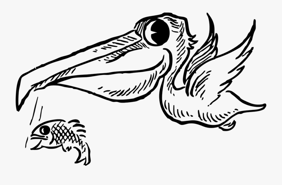 Beak Clipart Black And White Clipart, Transparent Clipart
