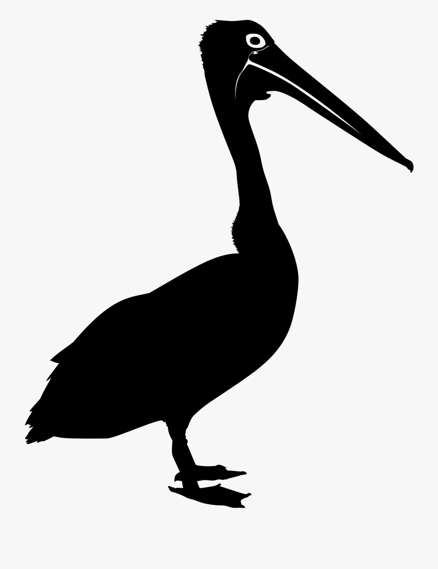 Australian Pelican Bird Silhouette Clip Art - Australian Pelican, Transparent Clipart