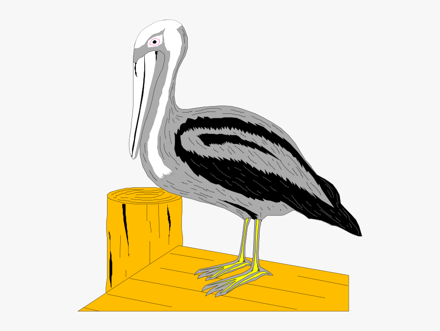 Pelican On Dock Svg Clip Arts - Clip Art, Transparent Clipart