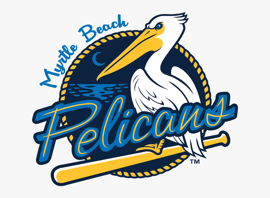 Pelicans Baseball In Myrtle Beach Sc, Transparent Clipart
