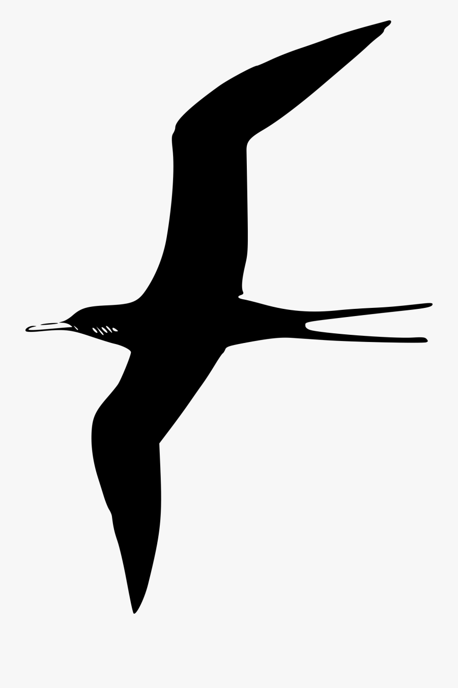 Transparent Pelican Clipart - Flying Sea Bird Clipart, Transparent Clipart