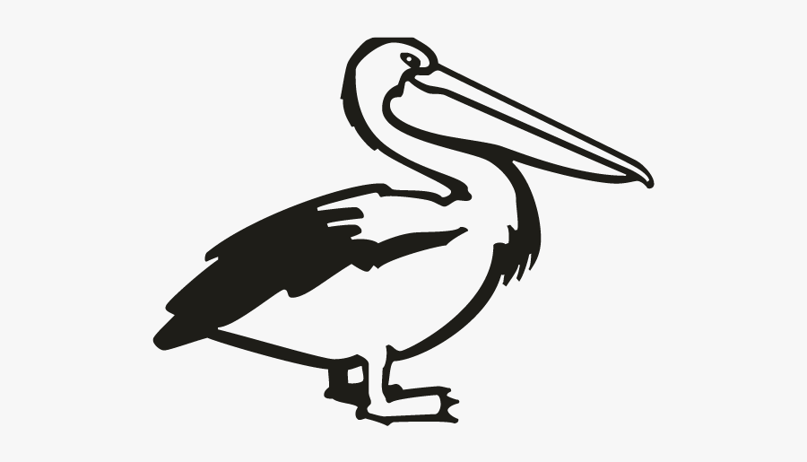 Ciconiiformes, Transparent Clipart