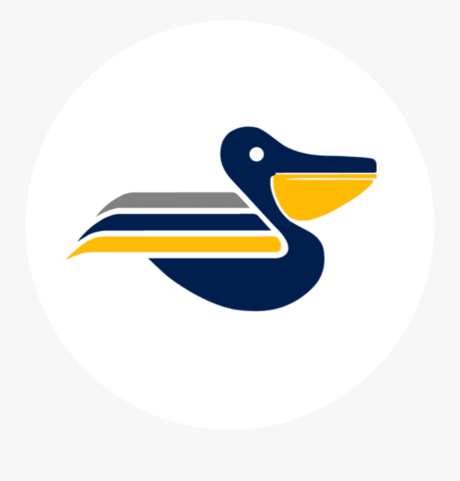 Duck, Transparent Clipart