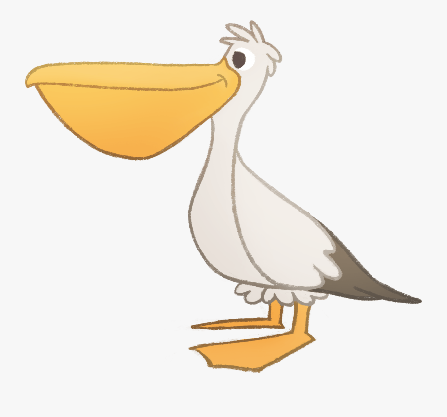Duck, Transparent Clipart