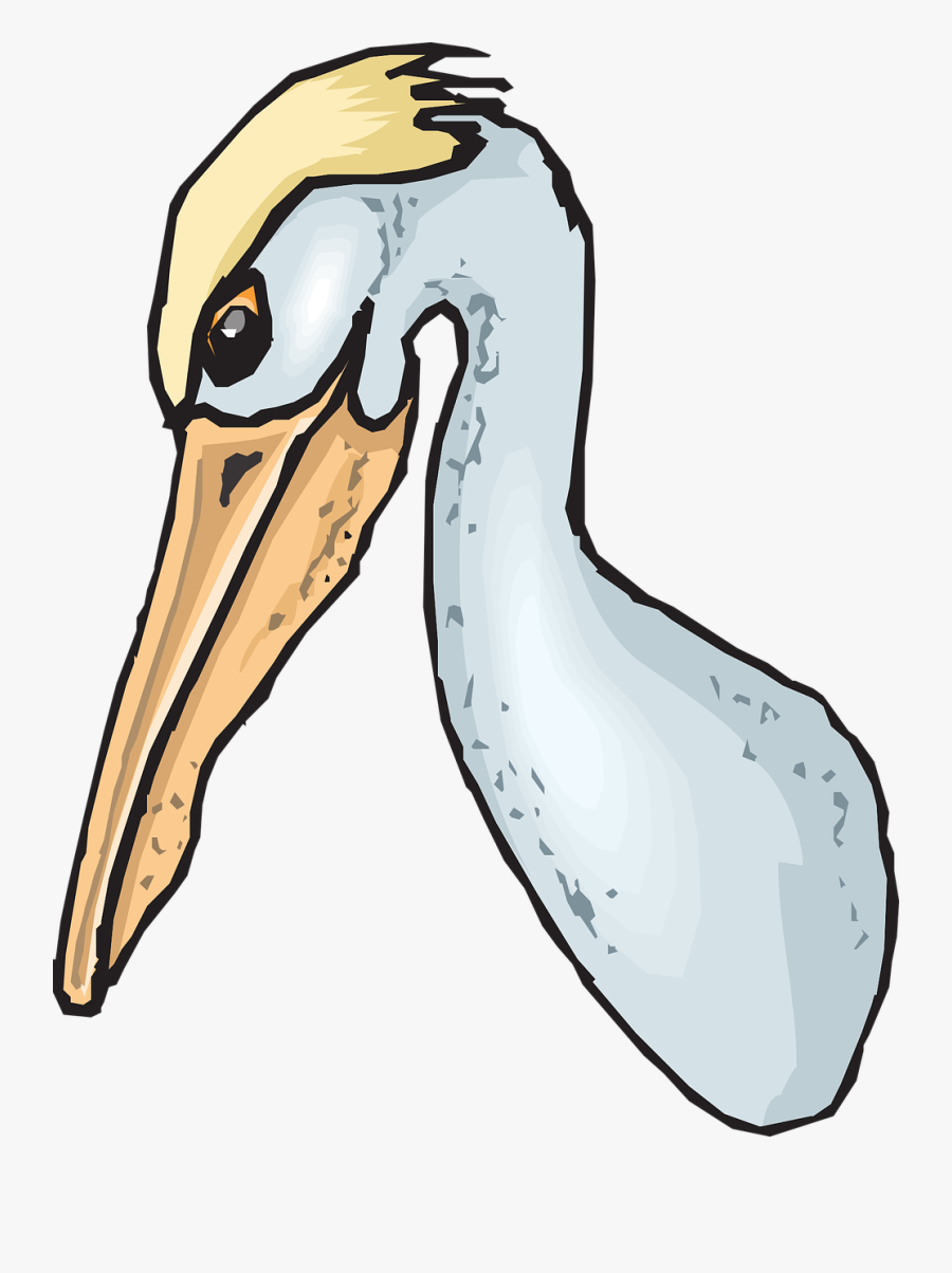 Pelican Head Png, Transparent Clipart