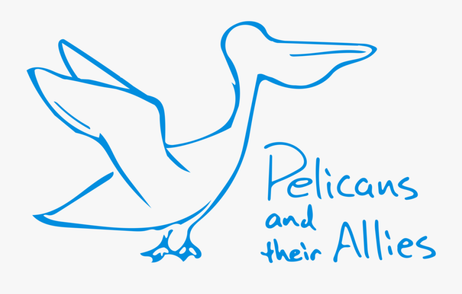 Pelican Clip Art, Transparent Clipart