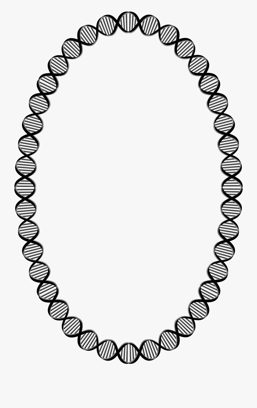 Squiggly Clipart Border - Dna Oval, Transparent Clipart