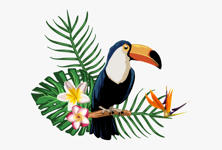 #summertime #tropical #summer #birdseffect #summerfun - Imagenes De Animales Tropicales, Transparent Clipart