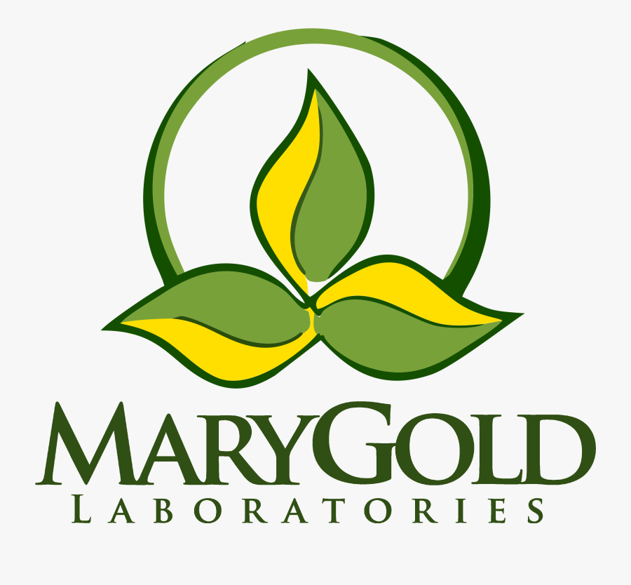 Mary Gold Lab, Transparent Clipart