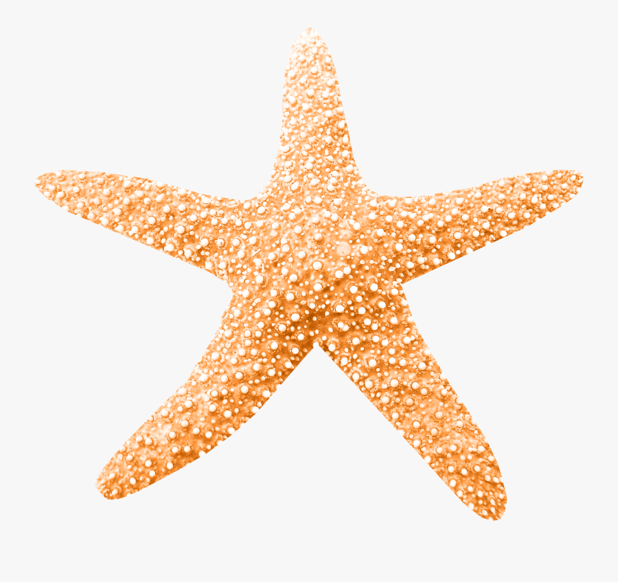 Clip Art - Peach Starfish Clipart, Transparent Clipart