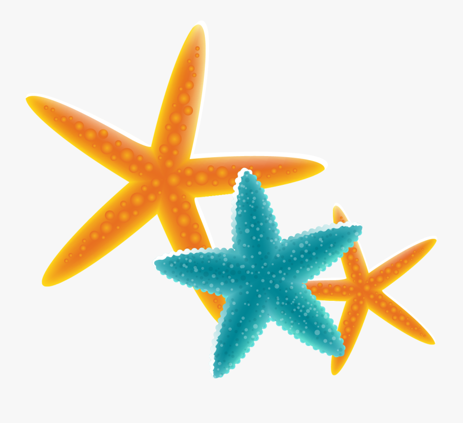 Starfish Png Vector, Transparent Clipart