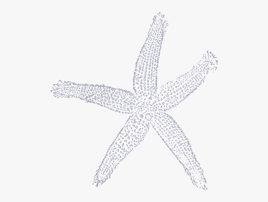 Clipart Black And White Star Fish - Coral Starfish Clipart, Transparent Clipart