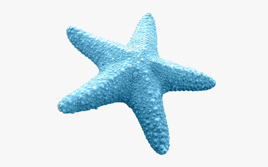 Cartoon Starfish Blue Png, Transparent Clipart