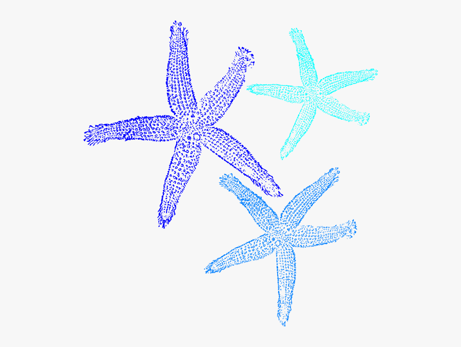 Starfish Clipart Symmetrical - Fish Clip Art, Transparent Clipart