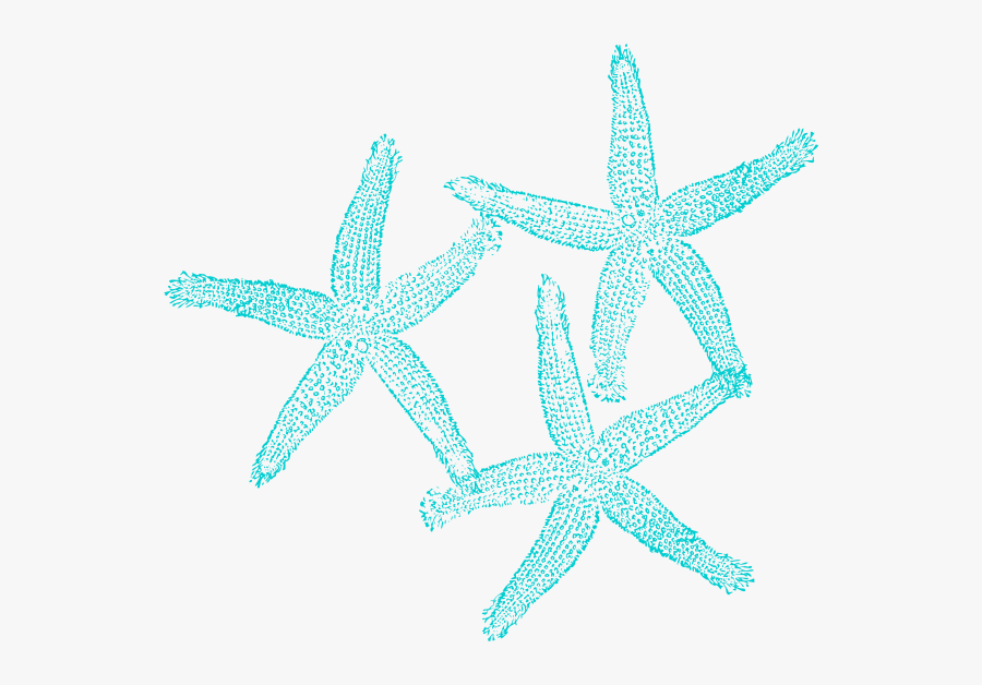 Starfish Clip Art At Clker - Coral Coral Transparent Background, Transparent Clipart